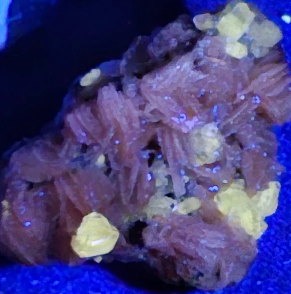 Pink Barite Cersuite And Gelena - Picture 4 of 10